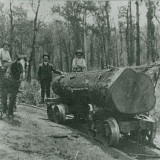 After partnering with Benjamin Mason in his Timber business in 1871, Francis Bird set about constructing a wooden tramway to haul the massive logs from the Darling Scarp down to Canning Landing (now Masons Landing) where the mill was. 