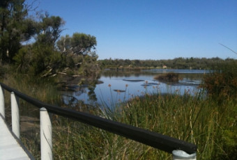 Photo of Wetlands Walk Trail, Yanchep NP trail