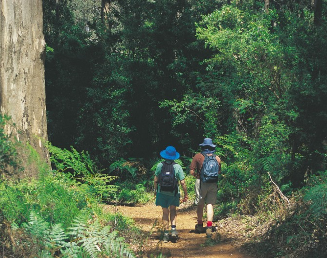 The trail follows a short section of WA's premier walk trail, the Bibbulmun Track.