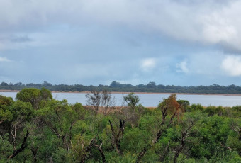 Photo of Forrestdale Lake Trail, Forrestdale trail