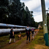 Portagabra Track - Mundaring to Kalgoorlie Pipeline