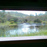 View from the Bird Hide