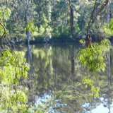 Visitors can enjoy a range of recreational activities from canoeing/kayaking, swimming, cycling and bush walking.