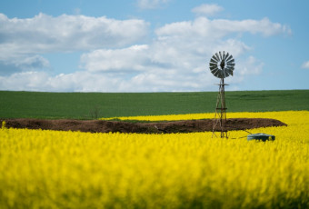 Photo of Botanical Journeys, Toodyay to New Norcia trail