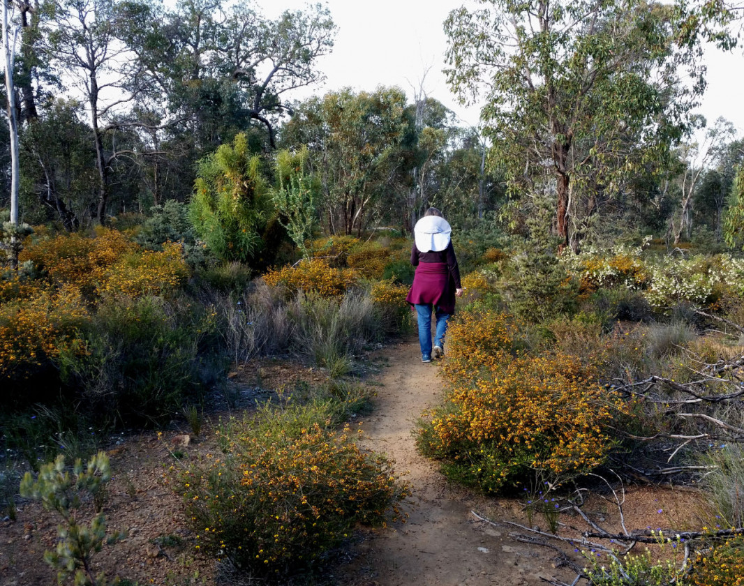 Banksia Trail Foxes Lair
