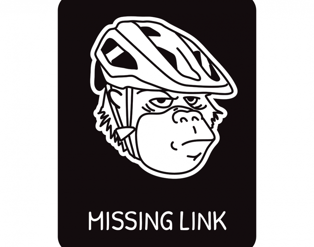 Missing Link Collie Motif