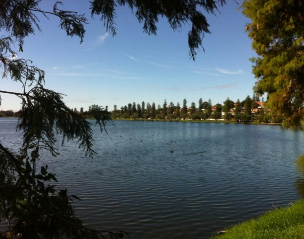 The loop walk around Lake Monger is just a few minutes from the city