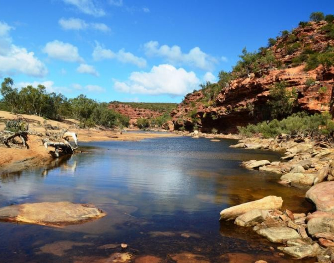 Tranquil waters of the Murchison River contrasting against the river red gums and sandstone
