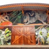 Location: Collie Sound Bowl, Collie Central Park

The mural concept revolves around the rush-tailed phascogale (Phascogale tapoatafa), also known by as the common wambenger, the black-tailed mousesack or the black-tailed phascogale