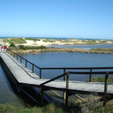 This boardwalk, located along Ocean Drive in Port Denison, takes you over the Irwin River, to the coast. 