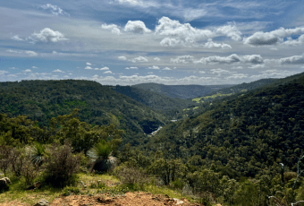 Photo of Baldwins Bluff Trail, Serpentine NP trail