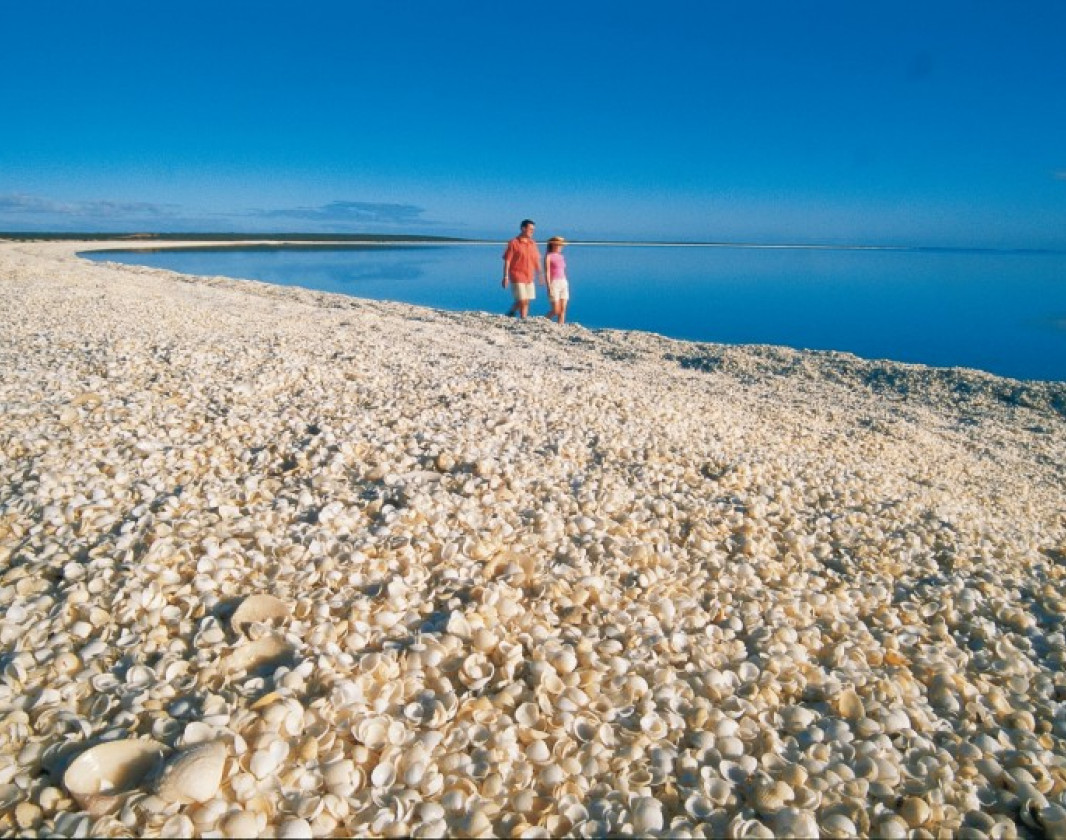 Made entirely of tiny white cockle shells, Shell Beach is one of natures marvels.